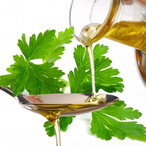 Vegetable care? Discover the properties of parsley seed oil